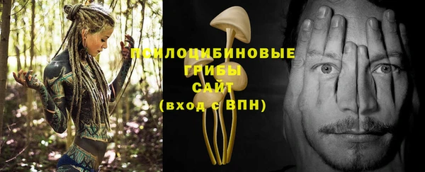 МДПВ Алзамай