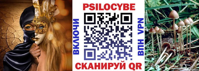 как найти закладки Кукмор Псилоцибиновые грибы прущие грибы